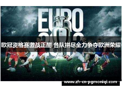 欧冠资格赛激战正酣 各队拼尽全力争夺欧洲荣耀