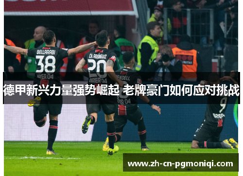 德甲新兴力量强势崛起 老牌豪门如何应对挑战
